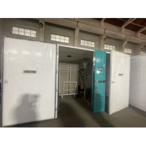 Quality ±1°C Temperature Uniformity Large Eggs Incubator with Performance for sale