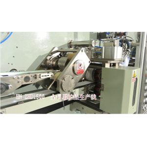 Wood Pulp Molding 1000PPM 155mm Panty Liner Machine
