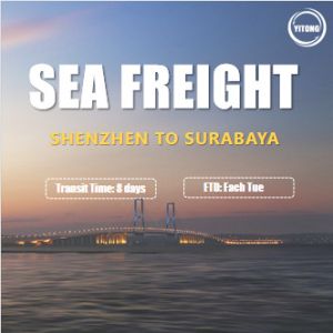 China International Sea Freight from Shenzhen to Surabaya Indonesia Competitive Rate on sale