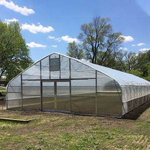 Horticultural Flower Growing Single-Span Film Tunnel Greenhouse Polyethylene
