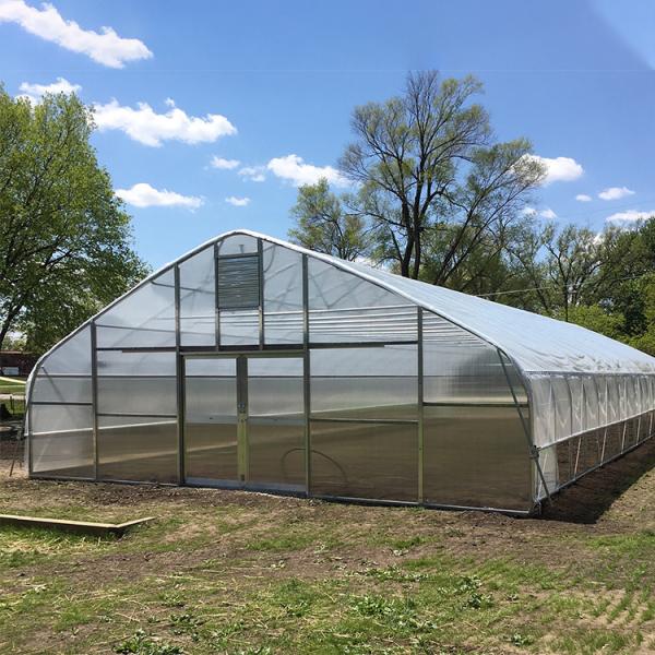 Horticultural Flower Growing Single-Span Film Tunnel Greenhouse Polyethylene Film Greenhouse