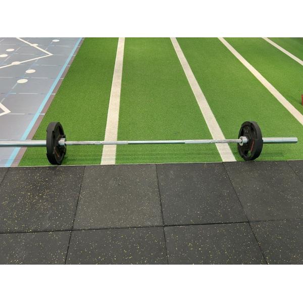 Noise Reduction Black Base Gym Rubber Flooring Mats with Different Color EPDM