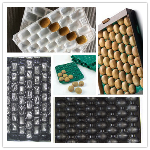 15LB 30g 0.11mm Thickness Tomato Protective Packing Plastic Trays for Fresh Fruit and Vegetable Best Selling Canada and Mexico