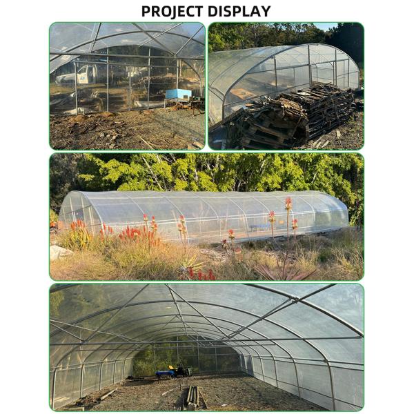 PE Film Greenhouse Frame Structure Ventilated Serre Agricole Greenhouse