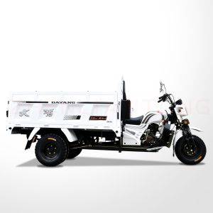 150cc/175cc/200cc Engine Motorized Tricycles Cargo Tricycles for Adult by WUYANG