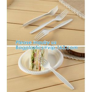 biodegradable compostable CPLA cutlery dinnerware tableware,PLA compostable