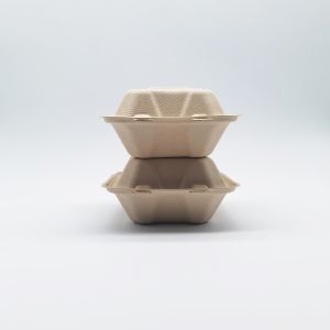 Eco Friendly Food Biodegradable Bagasse Tableware Sugarcane Containers For