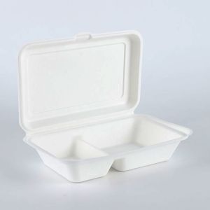 Biodegradable sugarcane Packaging Lunch Box Eco-Friendly Food Containers Meal