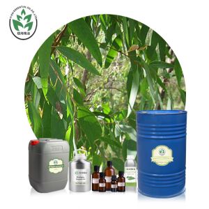 Globulus Aromatherapy Essential Oils