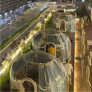 Fire Retardant Plastic Bubble Tent Polycarbonate Clear Outdoor Bubble Tent