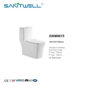 China Sanitary Ware Bathroom Ceramic Water Closet One Piece Wc Toilet SWM8615 on sale