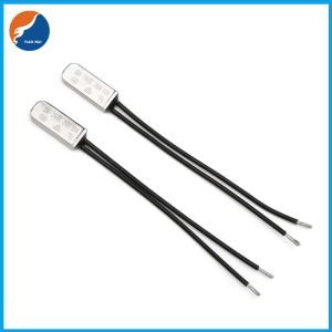 Hair Straightener 10A 200C 240C 250C BW Thermal Protector