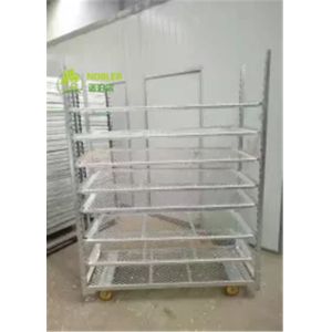 Hot Dip Galvanized Dutch Flower Trolley Seedling Car
