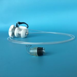 Ligatures endoscopic loop of variceal bands