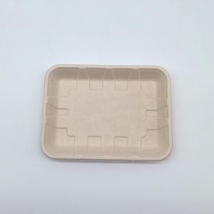 Compostable Biodegradable Bagasse Tableware Disposable Rectangular Shape