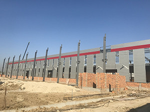 Vertical Sliding PVC Single Hung Grid Windows Classic For Added Security