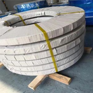 Hastelloy C-276 Precision Strip for Demanding Industrial Applications