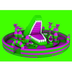 Water - Proof Inflatable Backyard Fun City Amusement Park Castle