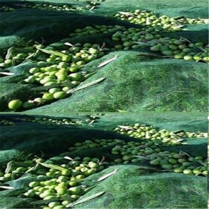 HDPE Agriculture Olive Net harvest net with high quality