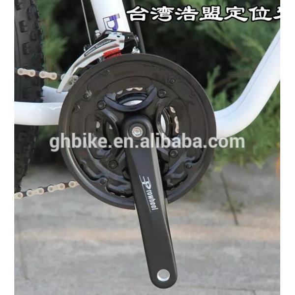 48V Voltage 1000W Chinese Snow Fat Tire Chopper E-Bike Perfect for Outdoor Activities