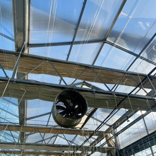 Float Glass Greenhouse Shelter for Cultivating Flowers