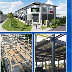 Modern Steel Hall Construction Customized Waterproof Steel Structure Building