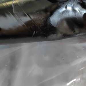 Quality 15m 20m Length Self Adhesive Tape High Polymer Waterproof Membrane for sale