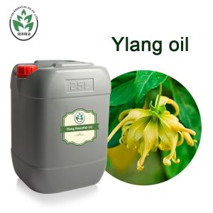 CAS 8006-81-3 Ylang Ylang Essential Oil