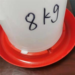 Automatic Plastic 8L Poultry Feeder Drinker For Broiler Breeder