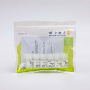 2X 1ml NGS Library Construction Multiplex PCR Master Mix