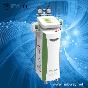 Quality Newest vertical Cryolipolysis Slimming Machine / Fat Freezing Cryolipolysis for sale