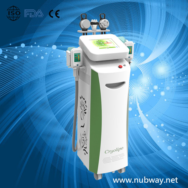 Buy cellulite reduction machine cryolipolysis at wholesale prices