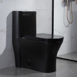 300mm Siphonic One Piece Toilet American Standard Black Porcelain
