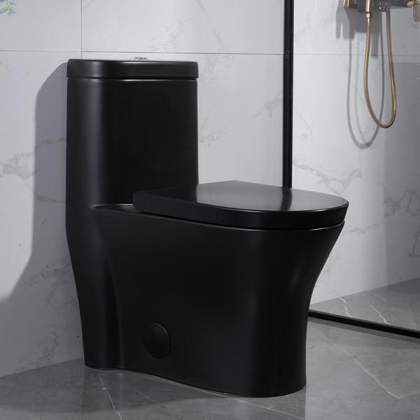 Buy 300mm Siphonic One Piece Toilet American Standard Black Porcelain at wholesale prices