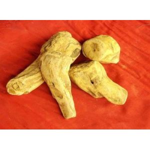 rhubarb extract Anthraquinones10% Emodin 5% --rhubarb pieplant,Rheum officinale