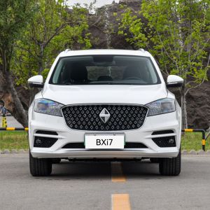 2023 Borgward Bxi7 Pure Electric speed 195km/h Fast Charging Road Legal Electric