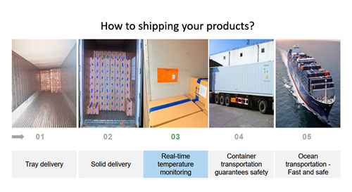 Chinese Supply Best Quality Good Price Iqf Frozen Vegetable Whole Okra Gumbo