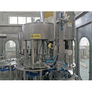 Sanitary SUS304 Flowing Liquid Mineral Water Packing Machine