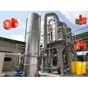 High Temperature Resistance Tomato Processing Line with Customized Capacity and