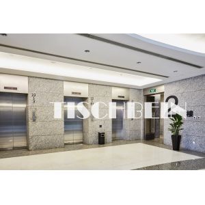 1500kg 1600kg 2000kg Passenger Elevator 2m/s 4m/s Speed For Hotel Residential