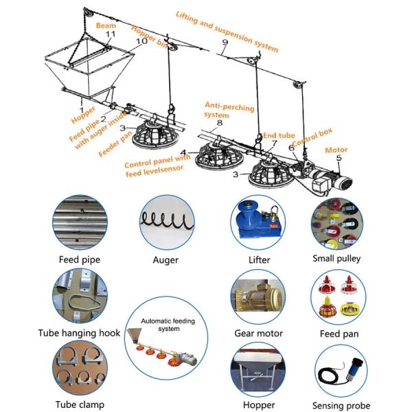 Environment Control Animal Husbandry / Poultry Farm Equipment Automatic Feeding Chicken