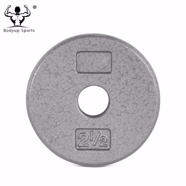 Cast Iron Black Painting Standard Weight Plate / Weight Disc