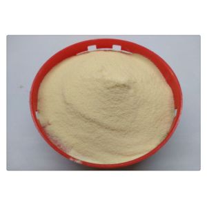Soy Protein Hydrolysis Free Amino Acid 80% Light Yellow Powder