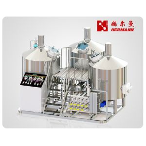 500L Cider Equipment International Standards 304 SS Body Material