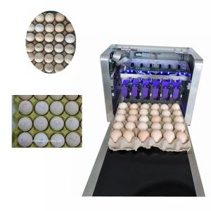 Quality Poultry Husbandry Egg Printing Machine With Automatically Identified Function for sale