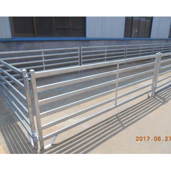 Welded 10ft X 4ft 50x50mm Metal Horse Corral Panels Heavy Duty Galvanized