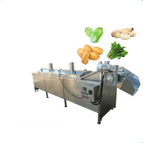 Buy 304 Stainless Steel Fruit Vegetable Washing And Drying Machine at wholesale prices