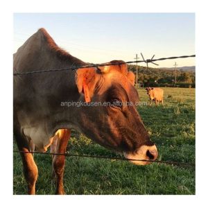 Direct Sale Barbed Wire with Galvanized Steel Wire Razor Type and Single Razor