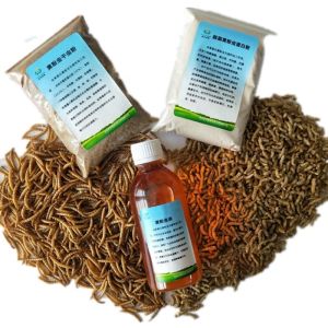 Quality Discover The Health Benefits Of High Nutritional Value Mealworm Oil for sale