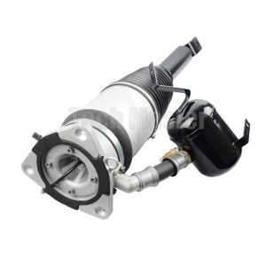 Airmatic Air Suspension Shock with Surface Finish 4E0616001G 4E0616001K